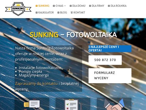 Sunking.pl Kamil Drozdowicz Krakmax