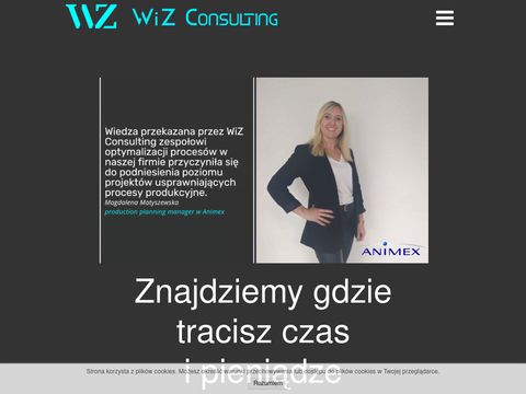 Wiz-consulting.pl