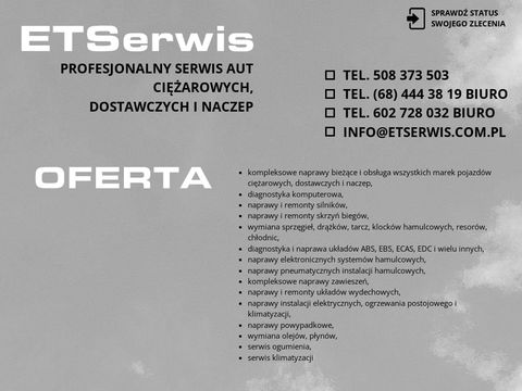 Etserwis.com.pl diagnostyka